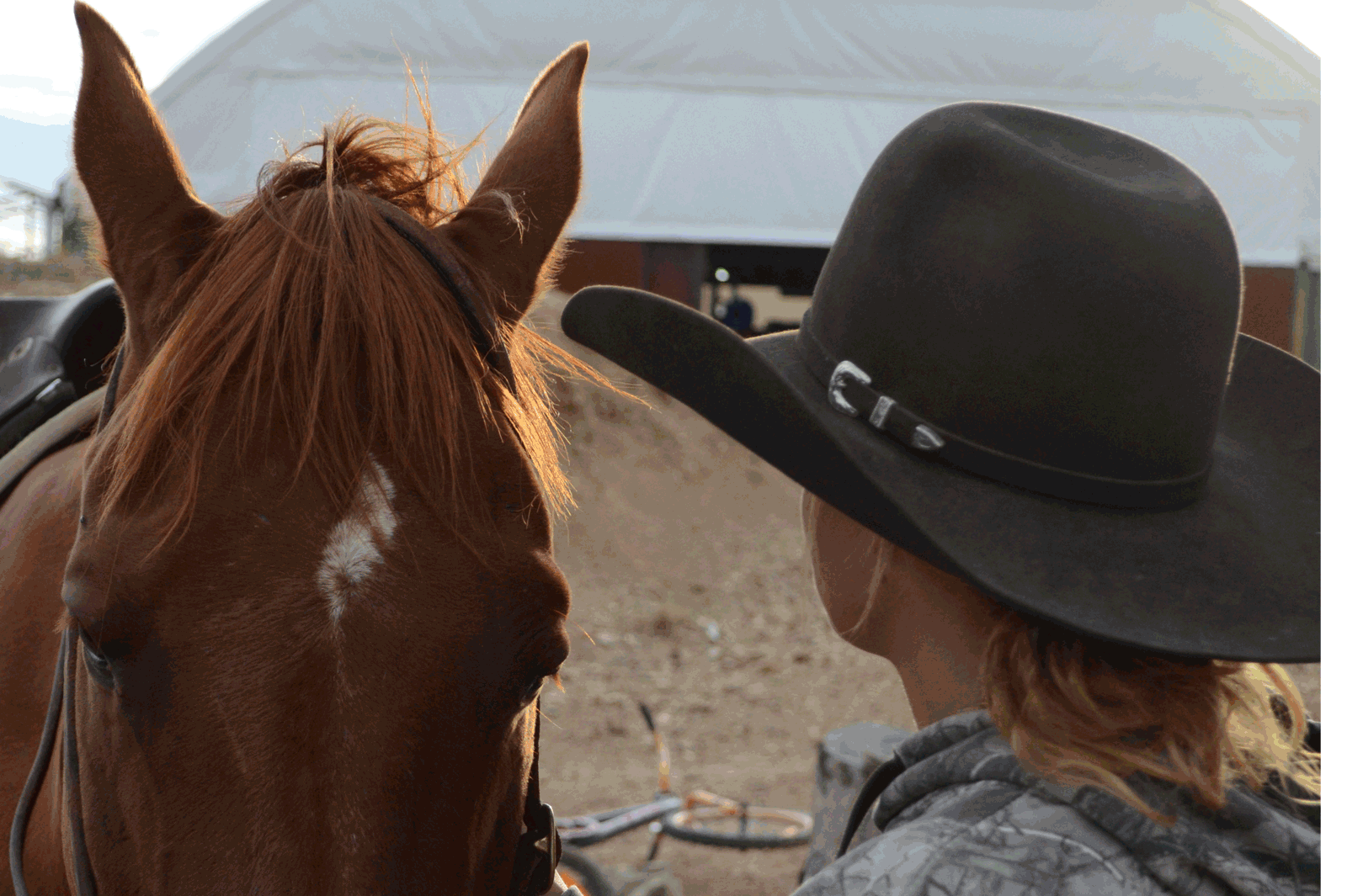 It's Not Just a Hobble Belt | Angus Barrett Saddlery