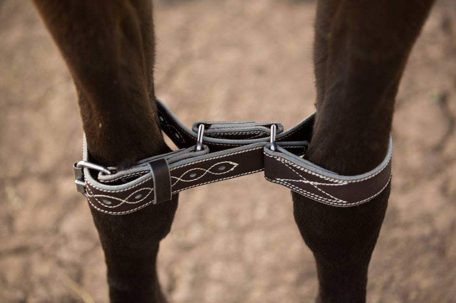 #14 Of 20 - Knee Hobbles