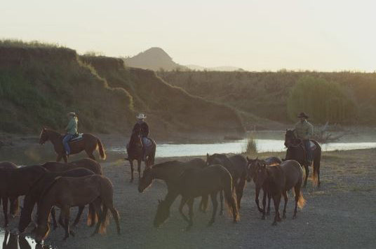 Angus Barrett Saddlery - Droving Series