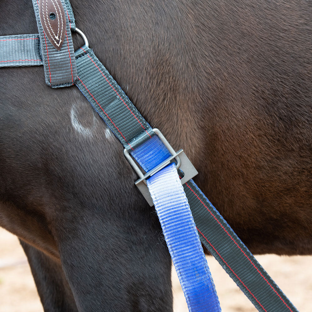 Angus Barrett Collar Strap