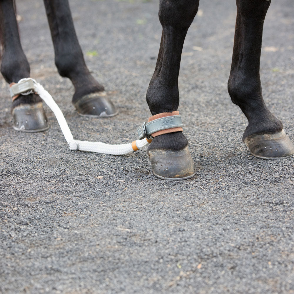 Quick Release Adjustable Sideline Set - Angus Barrett Saddlery