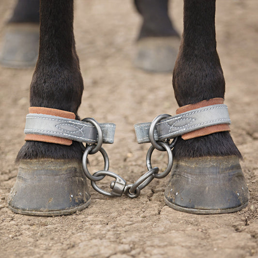 Quick Release Hobble Chain Set - Angus Barrett Saddlery