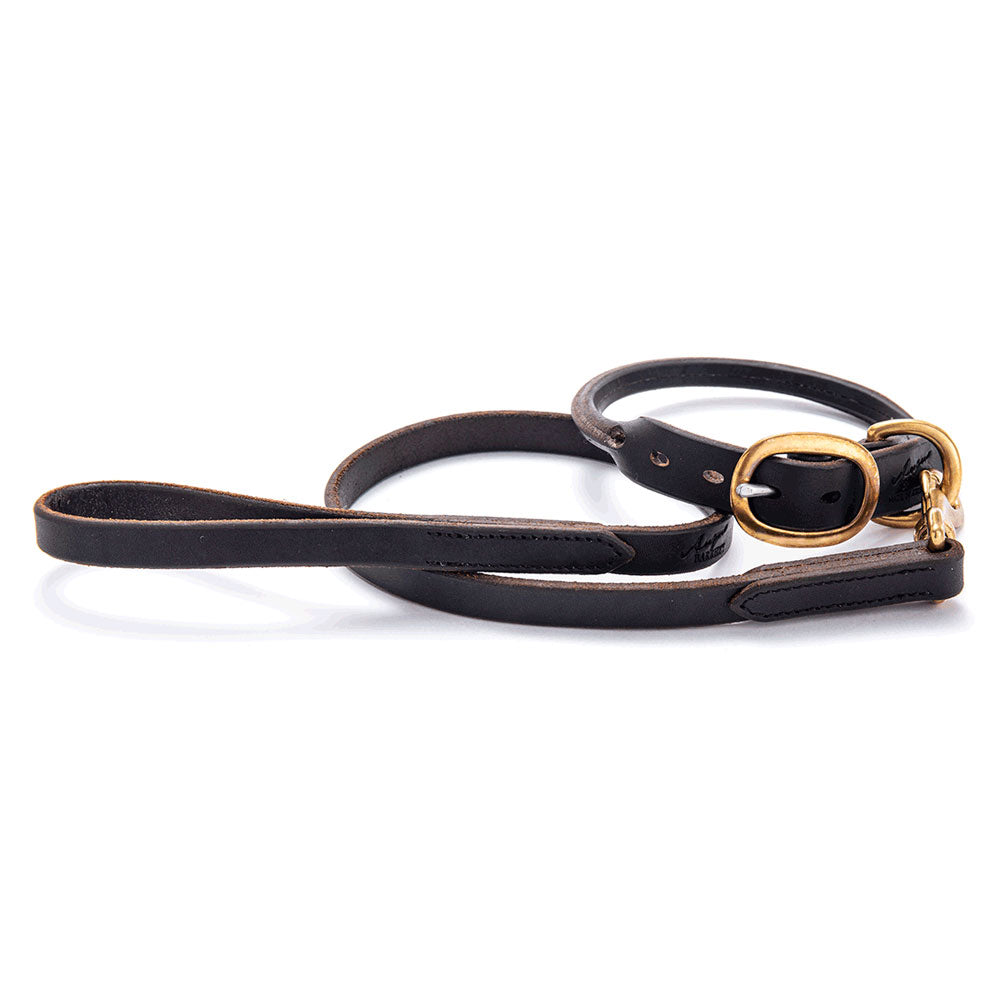 Rolled Leather Dog Collar with Short Lead - Chocolate Brown and Brass Buckle