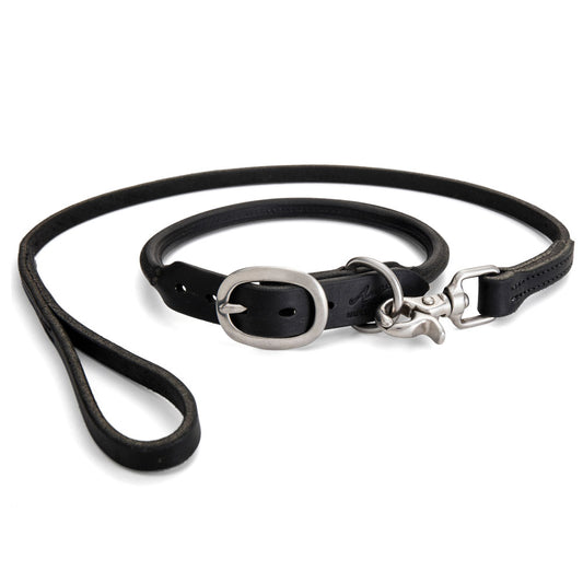 Rolled Leather Dog Collar with Lead - Black with Stainless Steel Hardware