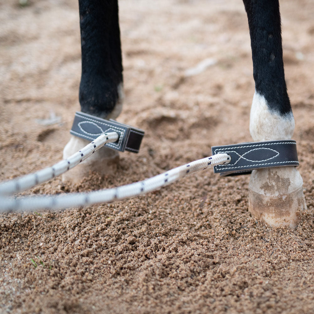 Serving Hobbles with Fetlock Straps
