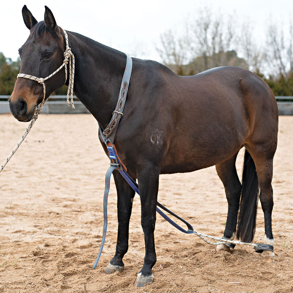 Serving Hobbles | Angus Barrett Saddlery