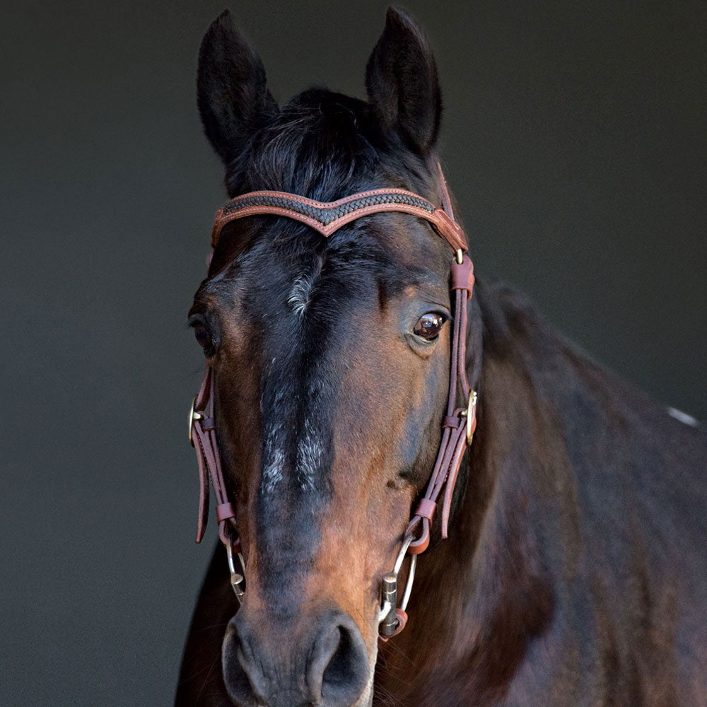 Station Bridle Braided Brow - Angus Barrett Saddlery