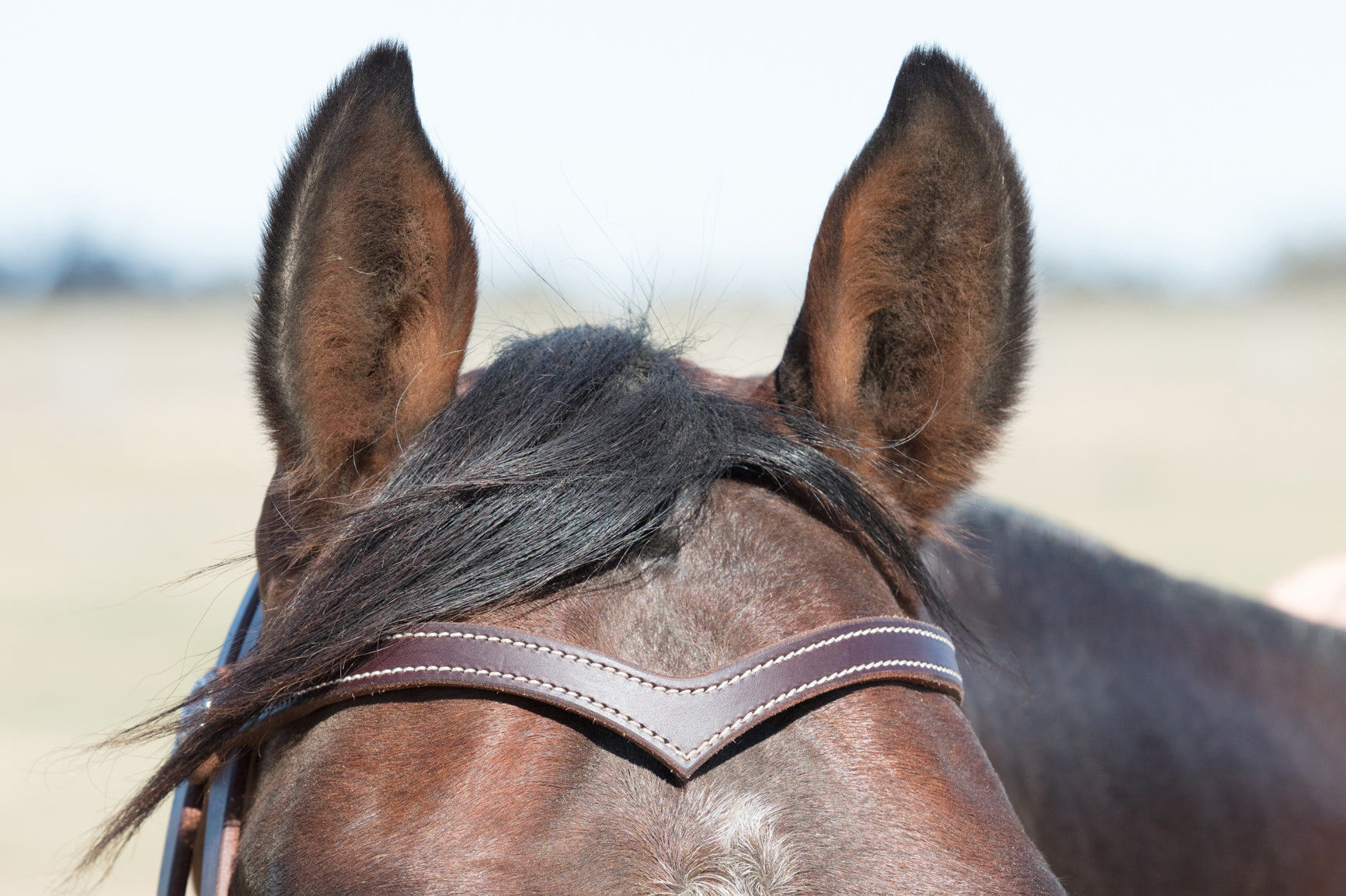 La Pin Bridle | Fully Stitched V Shaped Brow 