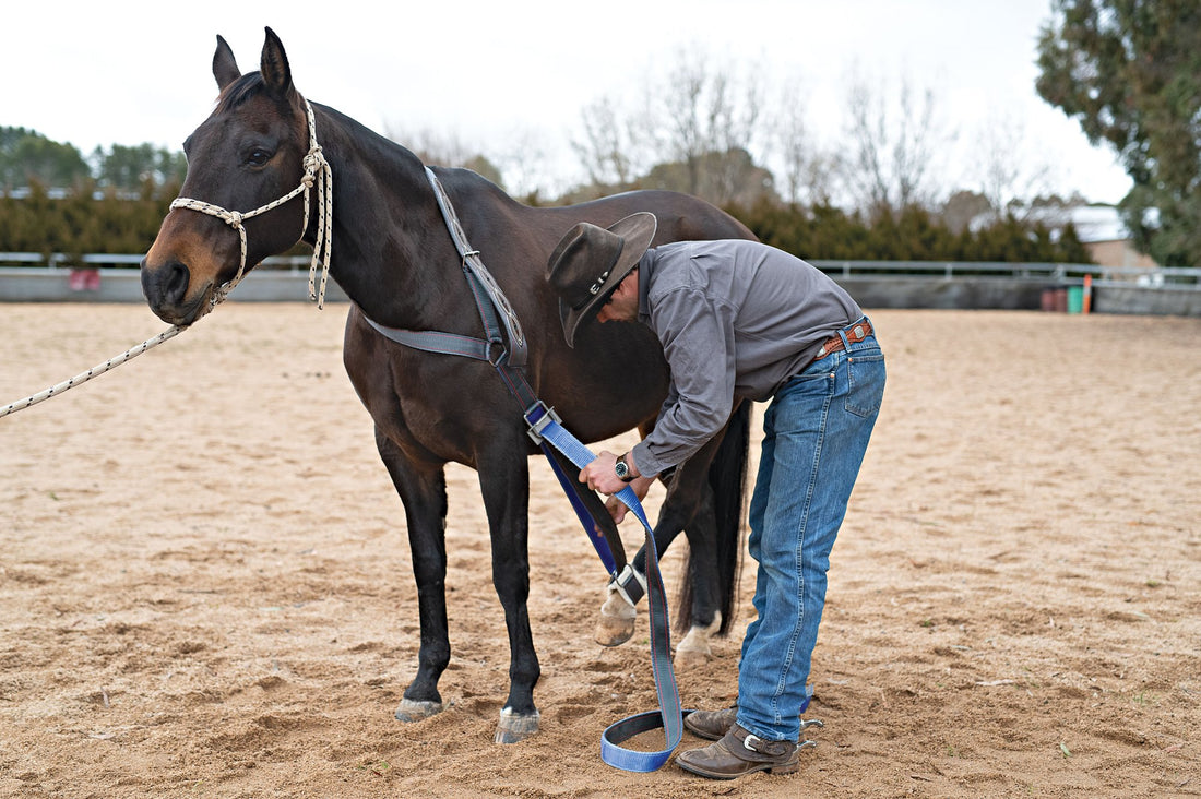 What is a collar strap? | Angus Barrett Saddlery