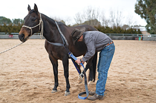 What is a collar strap? | Angus Barrett Saddlery