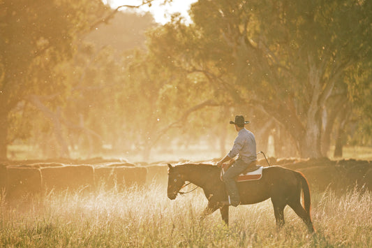 Ever thought of working on a cattle station - Angus Barrett Saddlery