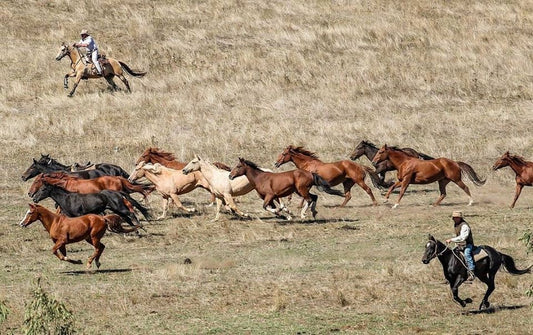 Man from Snowy River Bush Festival 2019