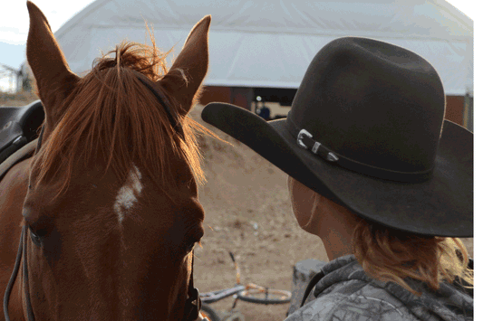 It's Not Just a Hobble Belt | Angus Barrett Saddlery