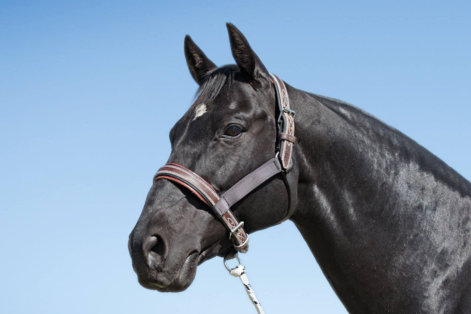 The "ever so cool" Tie-Up Halter
