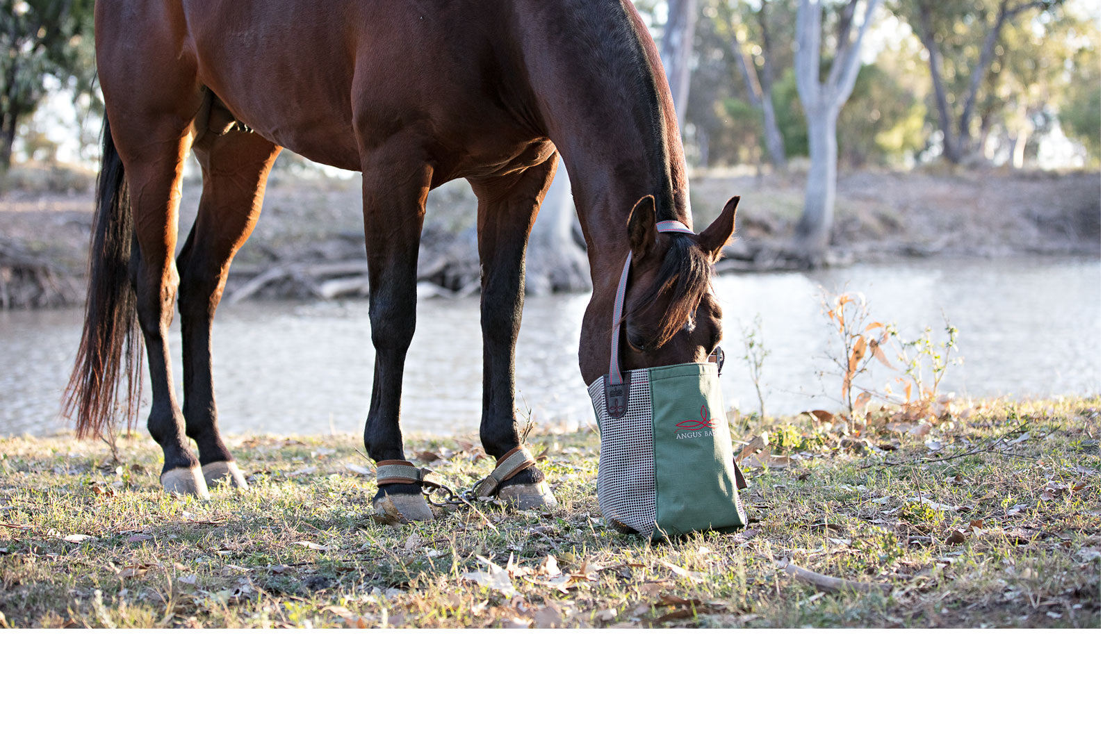 Horse Nose Feeder Bags
