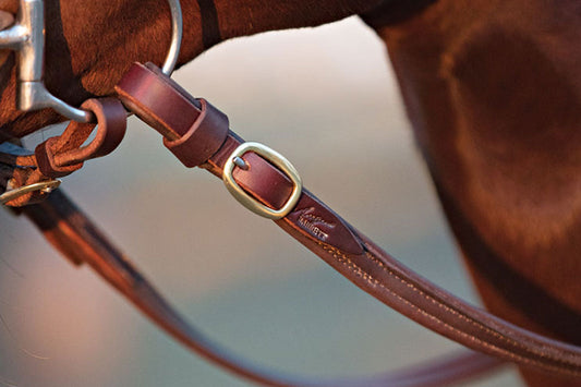 Which Reins Should I Choose?