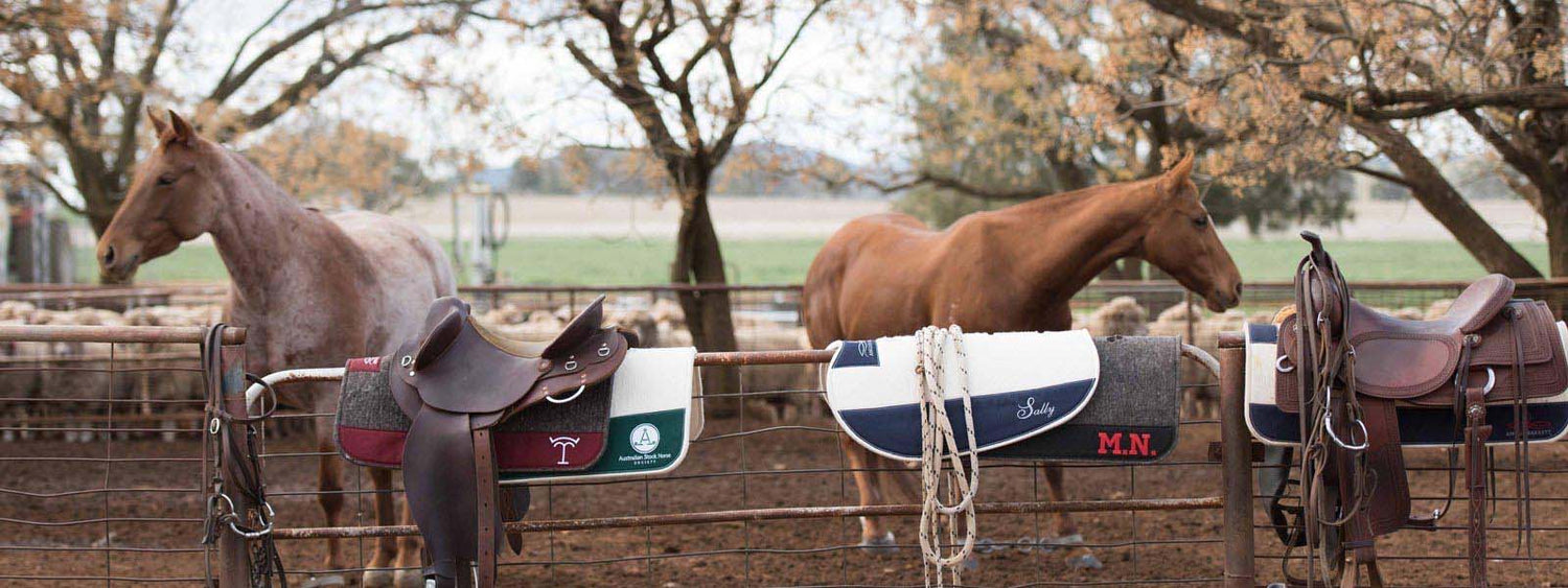 Pure Wool Saddle Pads - Angus Barrett Saddlery