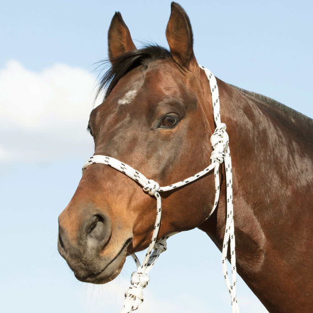 Quality Rope Halters - Angus Barrett Saddlery
