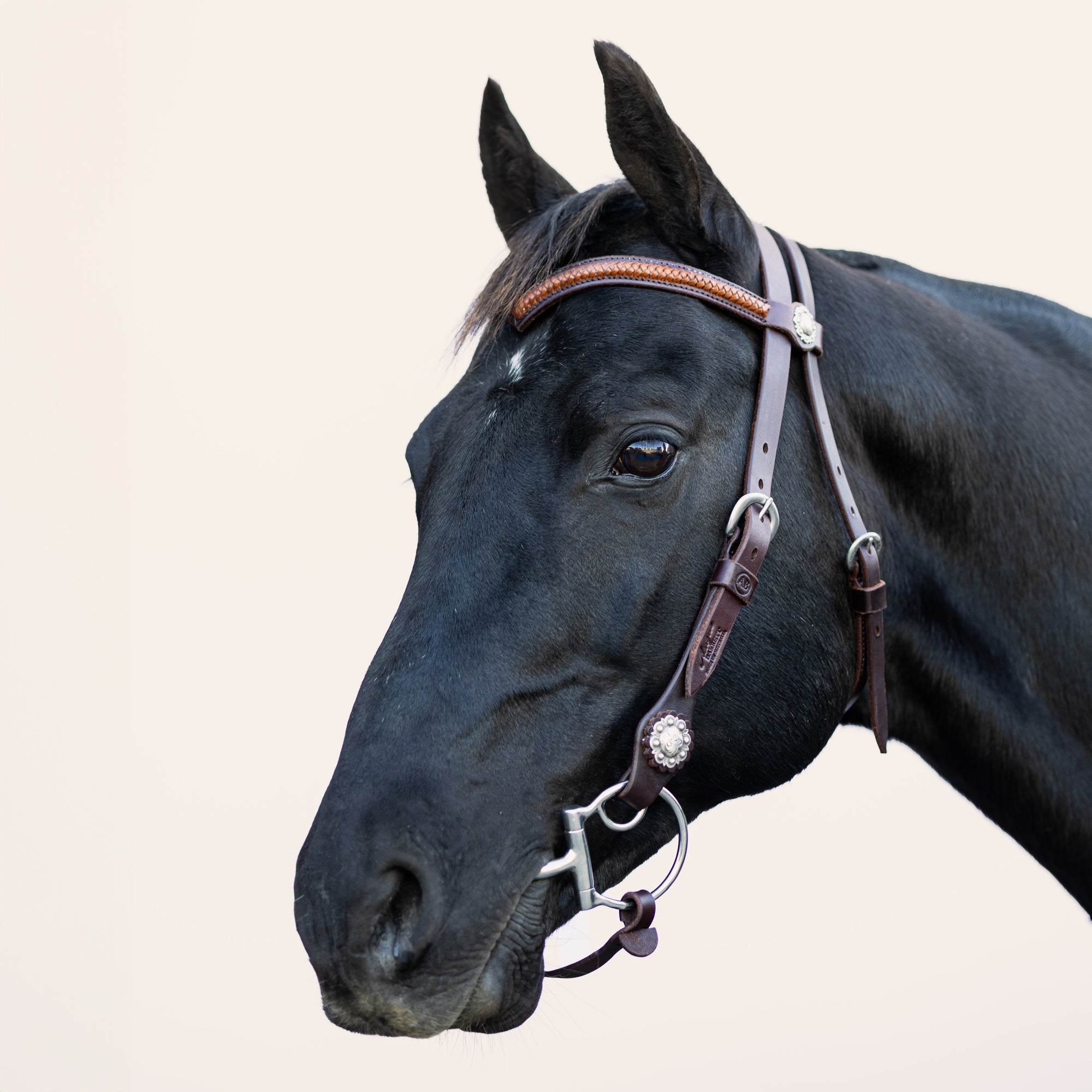 LIMITED EDITION - Tassa Bridle with V-Shaped Braided Brow Band