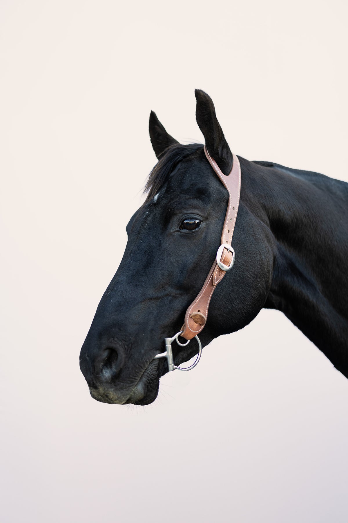 One-Ear Fitted Leather Bridle - 24mm