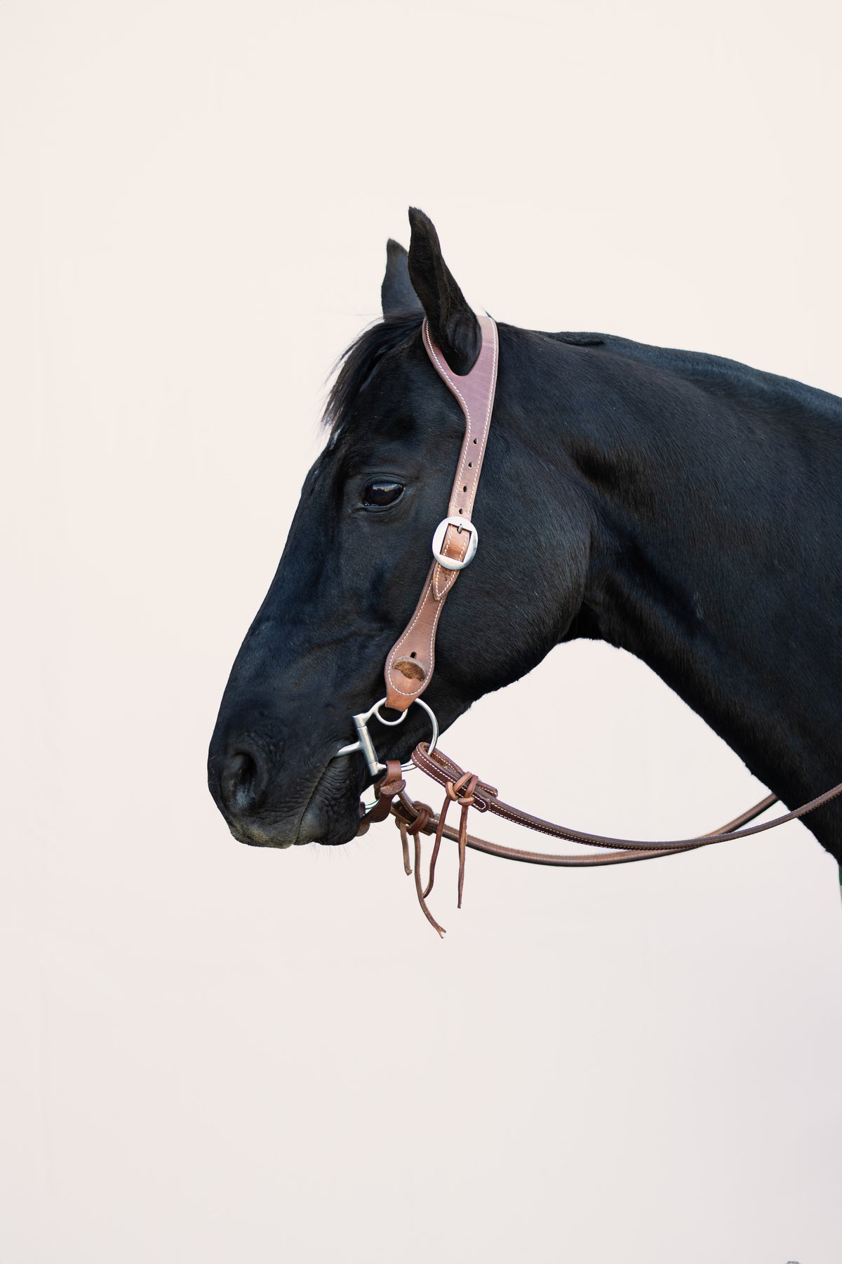 One-Ear Fitted Leather Bridle &amp; Reins Set