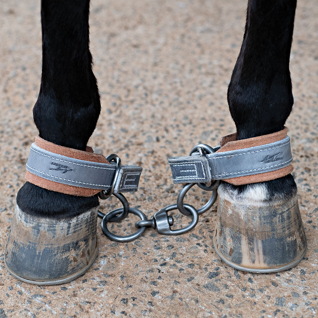 Australian Made Rodeo Gear – WDS Saddlery