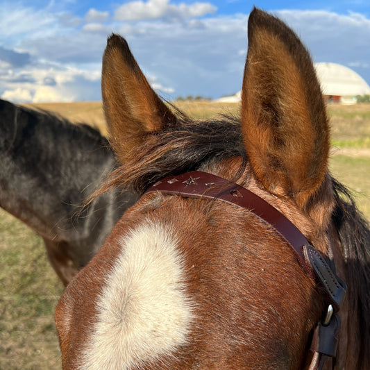 Stars and Diamonds Leather Bridle