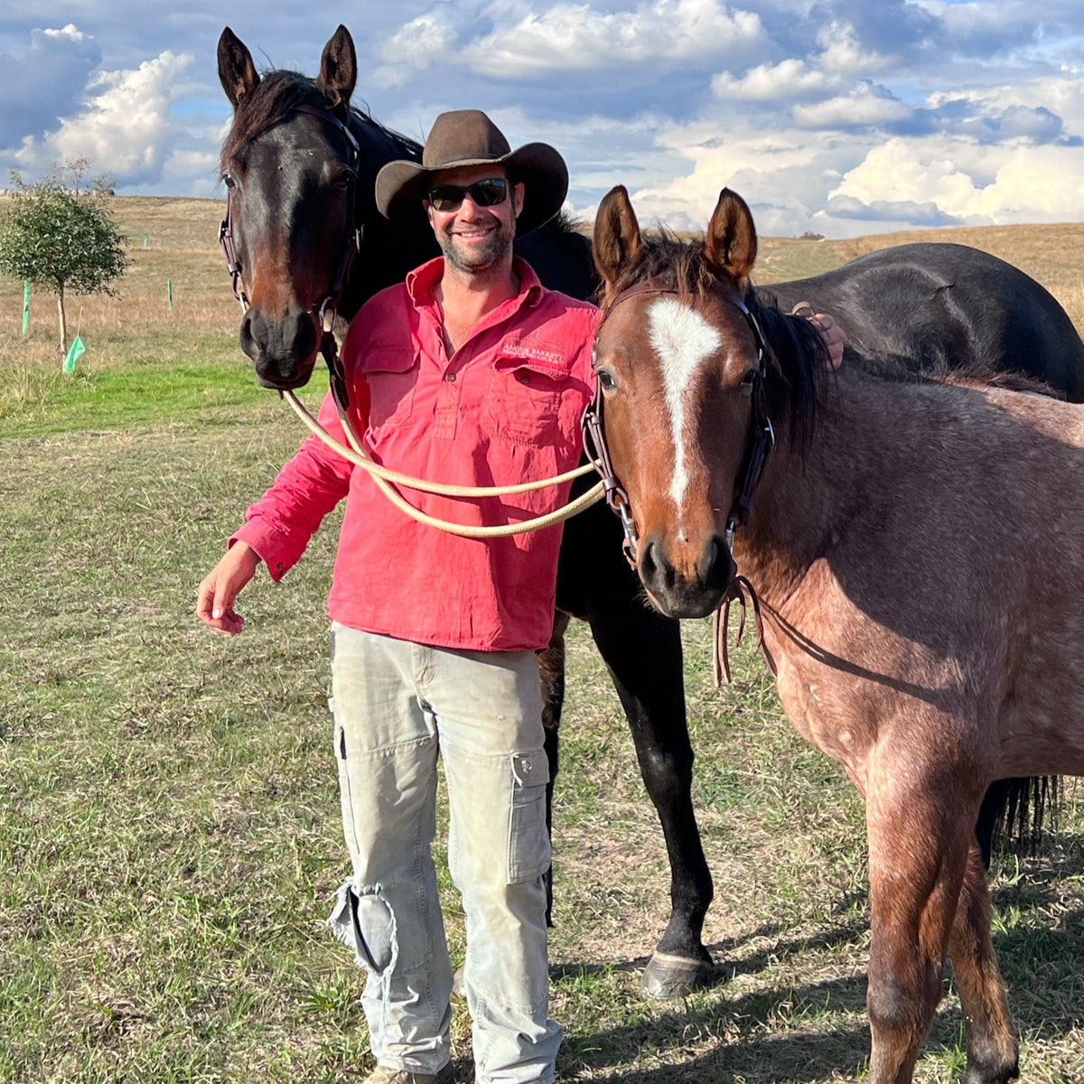 Station Bridle - Dark Natural - Stars &amp; Diamonds Brow