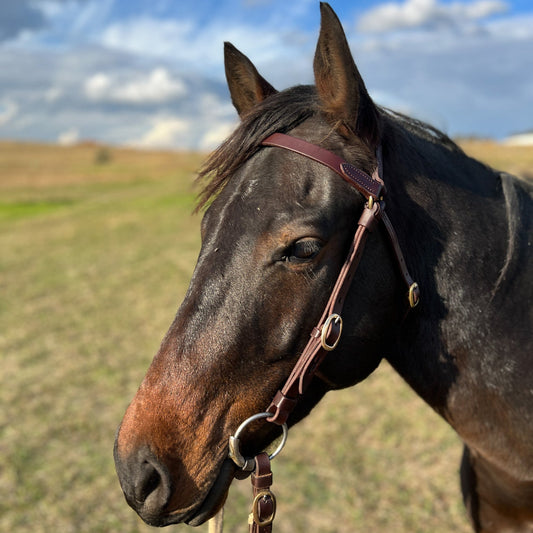 Angus Barrett Saddlery Leather Bridle made in dark natural leather