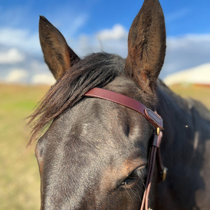Close-up of a horse's head with a bridle, set against a blurred natural background