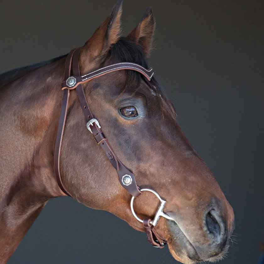 Australian Made Leather Bridles | Angus Barrett Saddlery