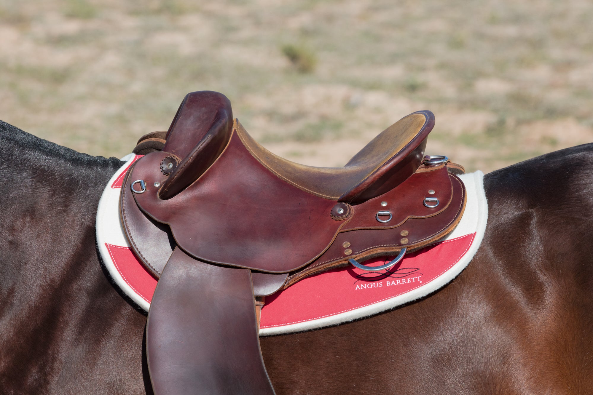 Pure Wool Saddle Pad - Fitted Slimline