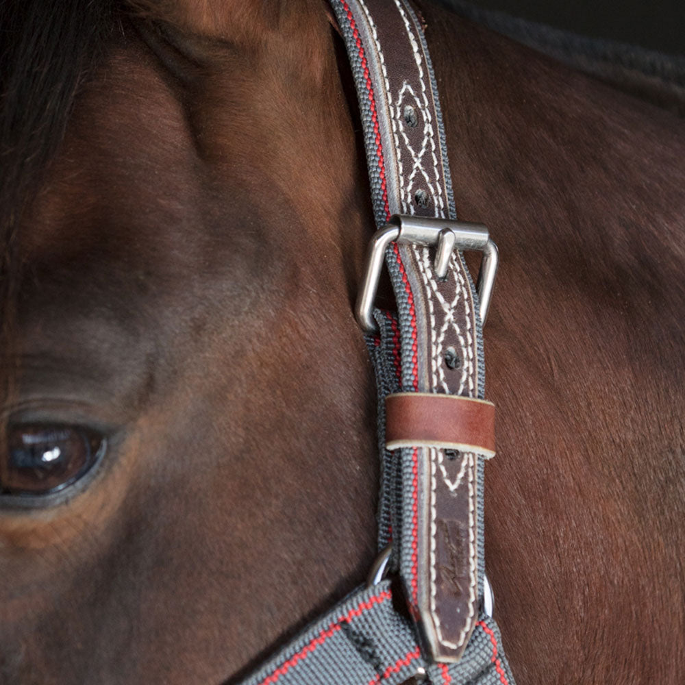 Tie Up Halter - Angus Barrett Saddlery