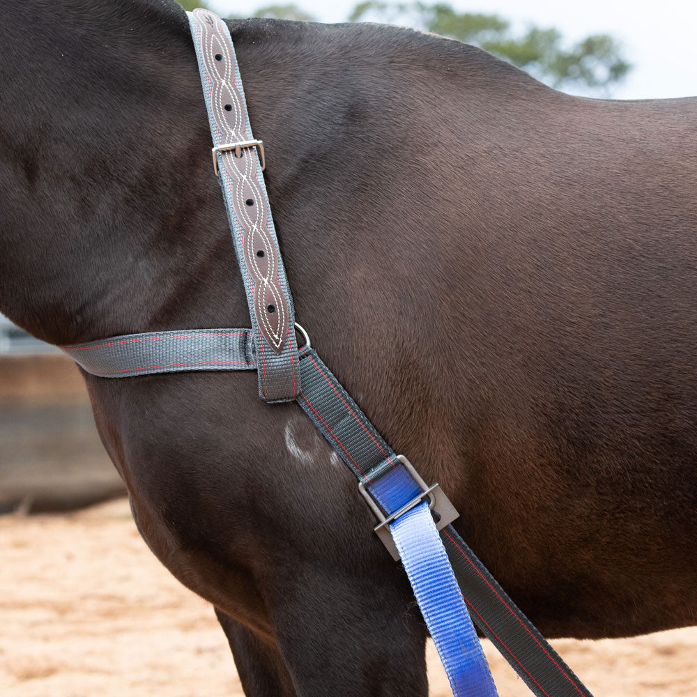 Collar Strap - Angus Barrett Saddlery