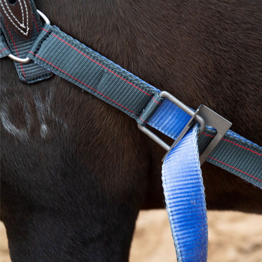 Angus Barrett Saddlery Collar Strap