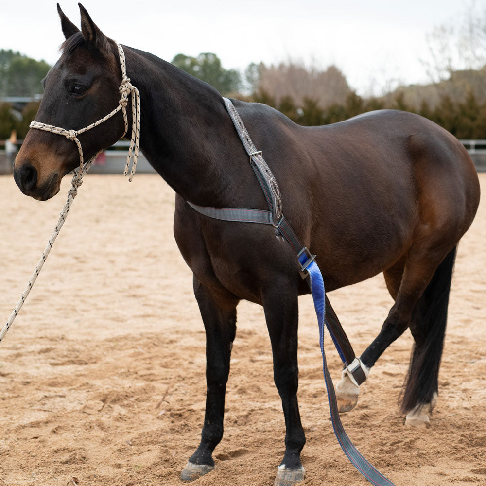 Angus Barrett Saddlery Collar Strap