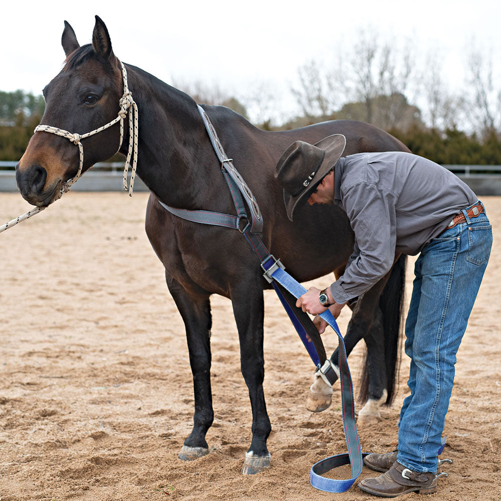 Collar Strap - Angus Barrett Saddlery