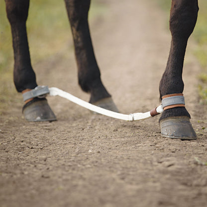 Adjustable Sideline Rope with Solid Stainless Steel Buckle