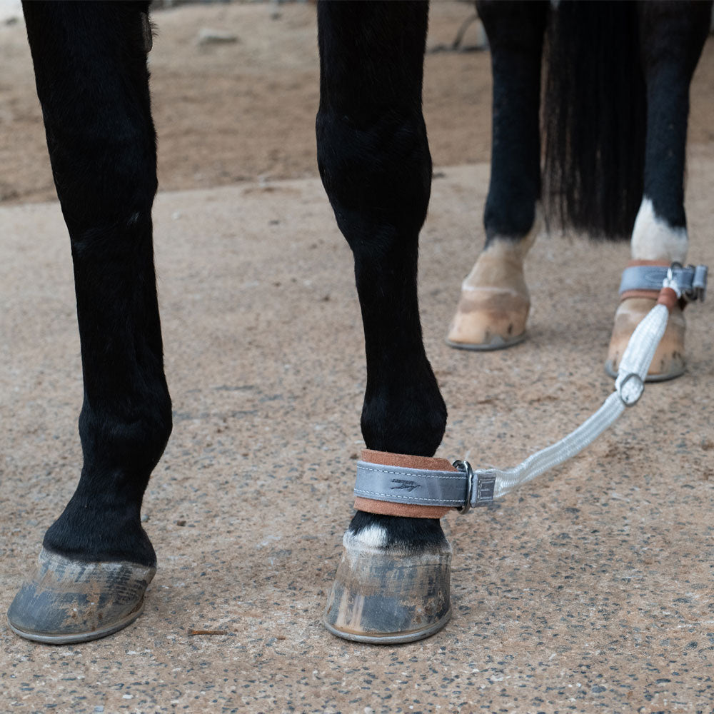 Quick Release Adjustable Sideline Set