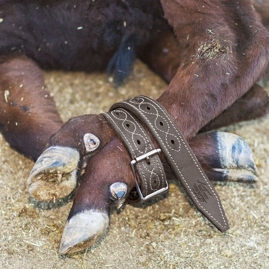 Angus Barrett Saddlery Bull Strap