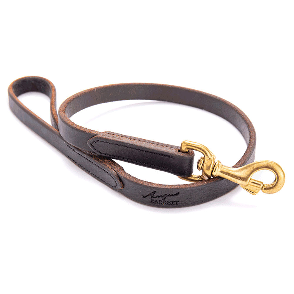 Leather Dog Lead - Chocolate Brown with Brass Hardware
