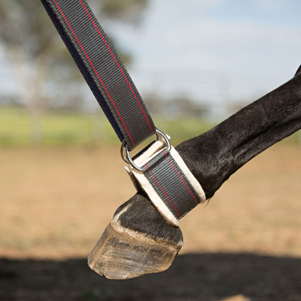 Angus Barrett Fetlock Strap used with the Angus Barrett Collar Strap