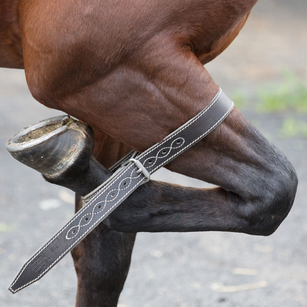Angus Barrett Saddlery Front Leg Strap