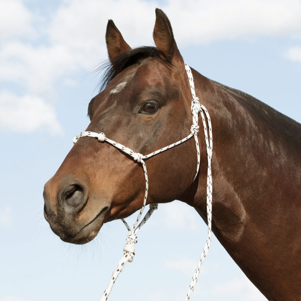 Handling Halter made from double braided yachting rope | Angus Barrett Saddlery