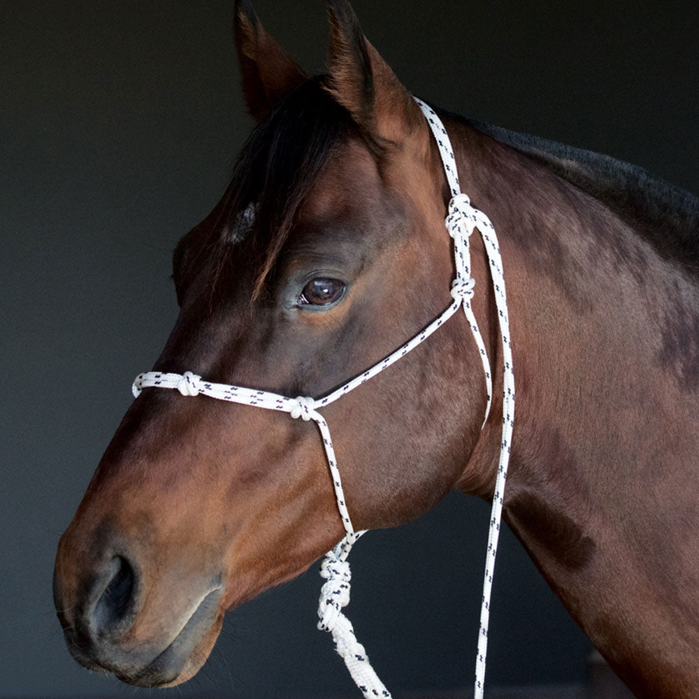 Handling Halter made from double braided yachting rope | Angus Barrett Saddlery