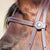 Angus Barrett Sure Fit La Pin Bridle features a beautiful shaped brow and black accented hardware