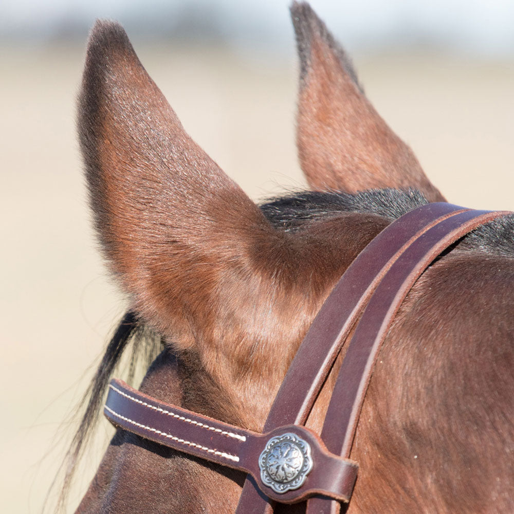 Angus Barrett Sure Fit La Pin Bridle features a beautiful shaped brow and black accented hardware