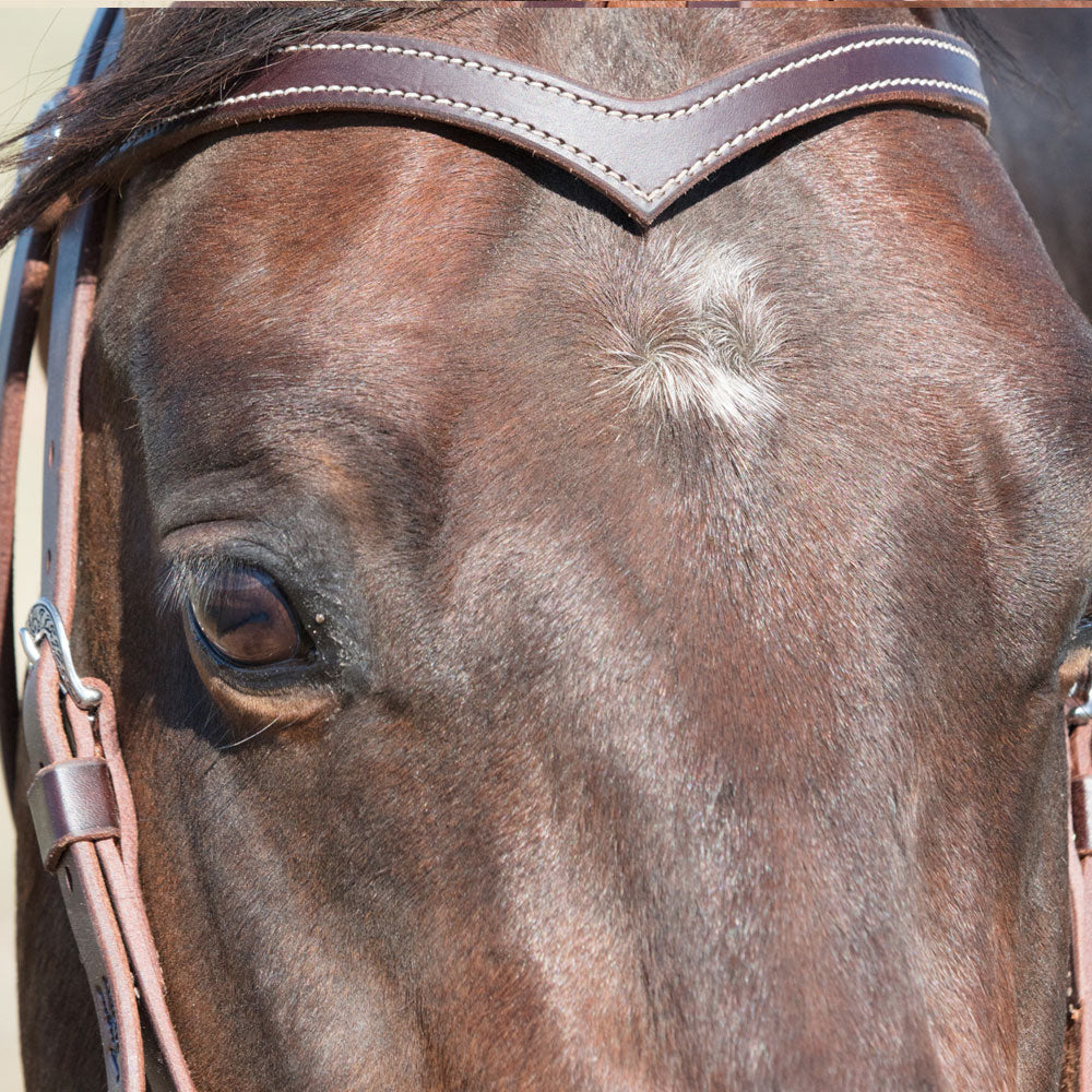 Angus Barrett Sure Fit La Pin Bridle features a beautiful shaped brow and black accented hardware