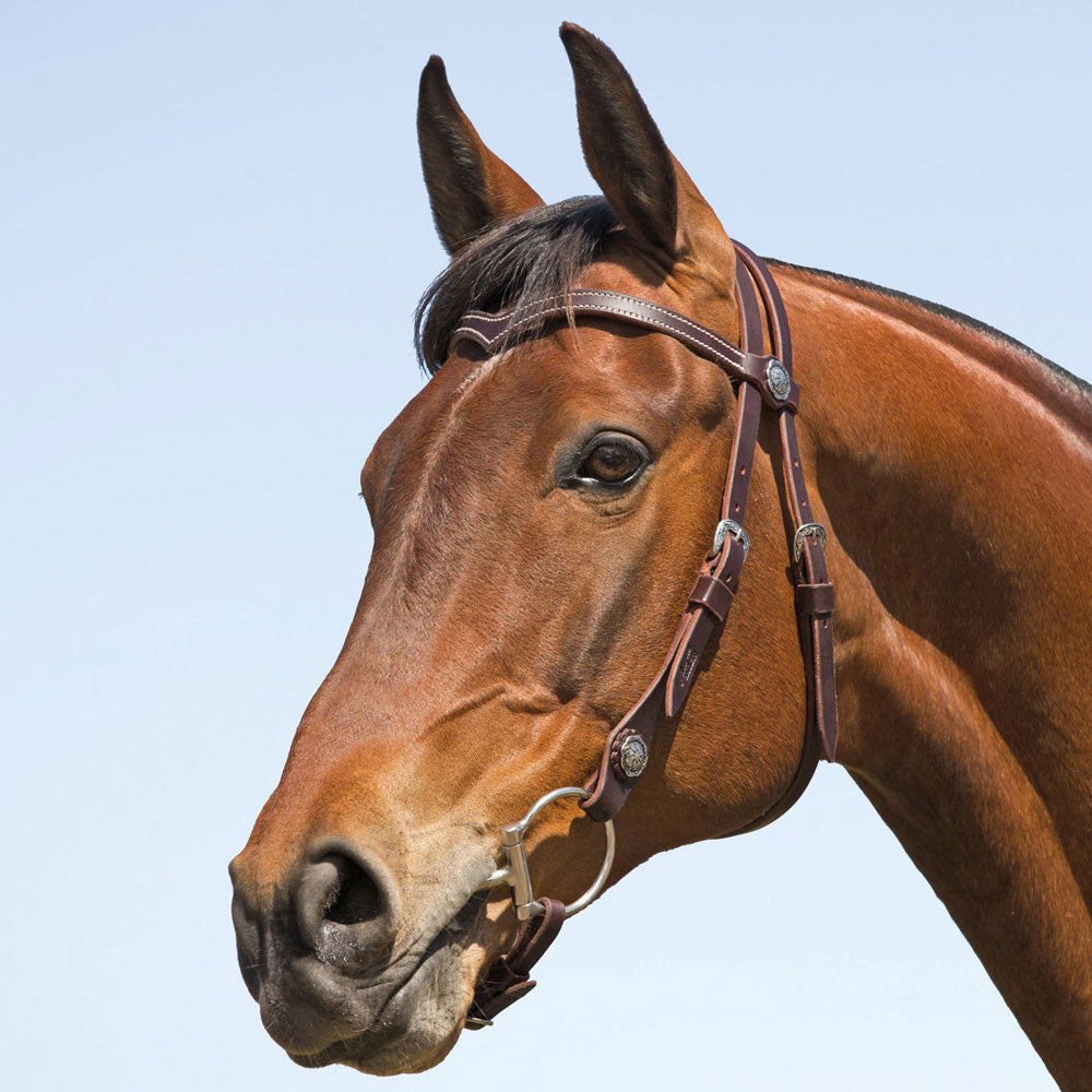 Angus Barrett's Sure Fit La Pin Bridle - Dark Natural with floral buckles and conchos