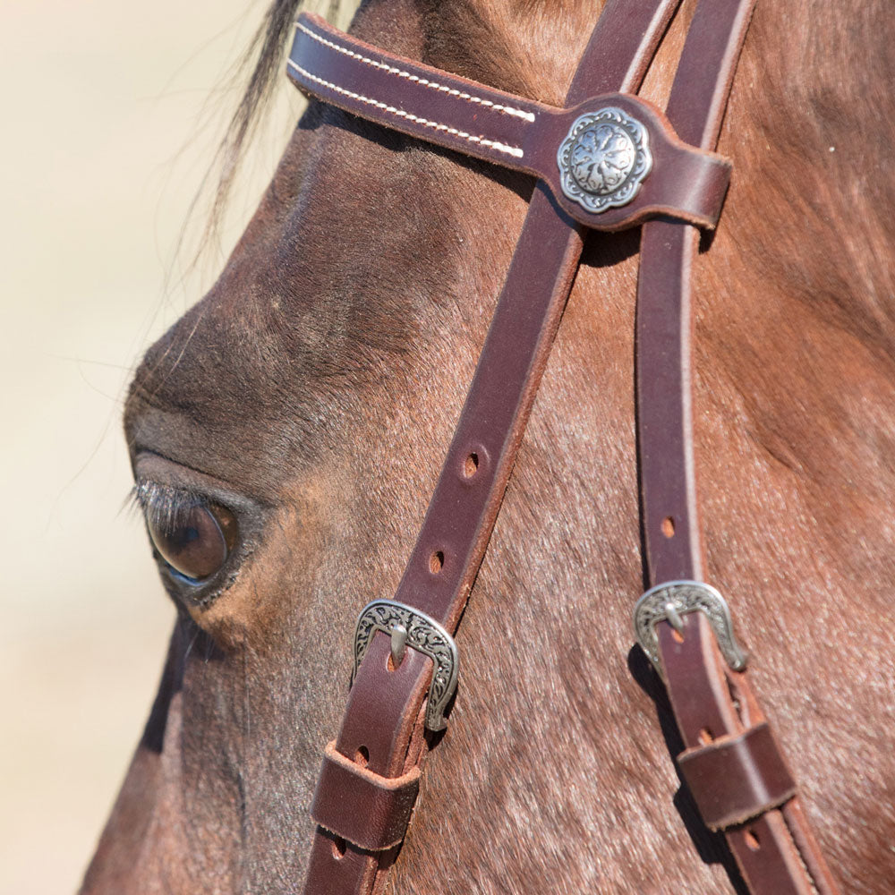 Angus Barrett Sure Fit La Pin Bridle features a beautiful shaped brow and black accented hardware